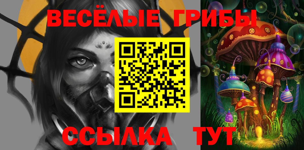 Тольятти  Галлюциногенные грибы мицелий  Вход с VPN 