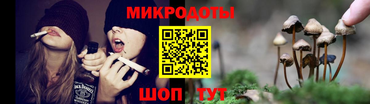 Галлюциногенные грибы Psilocybe Тольятти